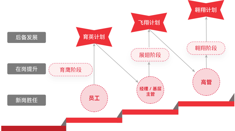凯发(中国)官网 "雄鹰计划"人才梯队培养